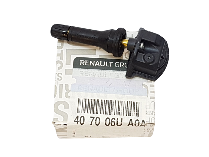 Lastik Basınç Sensörü (Kaptörü) | Renault Austral, Express Combi