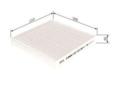 Polen Filtresi (Karbonsuz) | Renault Laguna 2 (2002-2008)