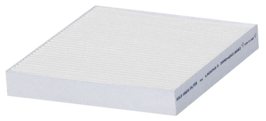 Polen Filtresi (Karbonsuz) | Renault Laguna 2 (2002-2008)