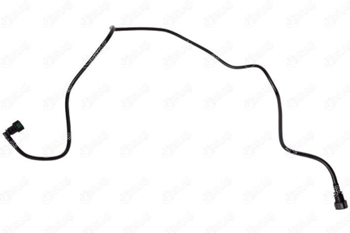 Kanister Hortumu | Renault Clio 2, Symbol Thalia 1.4 8V K7J