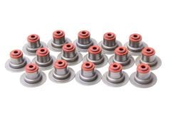 Subap Lastiği (Takım) | Renault Laguna 1, Laguna 2, Laguna 3 1.6 16V K4M - 2.0 16V F4R