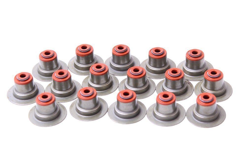 Subap Lastiği (Takım) | Renault Scenic 1, Scenic 2 1.6 16V K4M