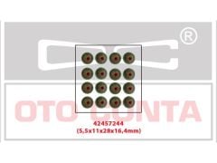 Subap Lastiği (Takım) | Renault Megane 2, Megane 3 1.4 16V K4J - 1.6 16V K4M