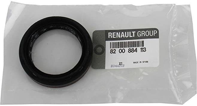 Aks Keçesi | Renault Laguna 2