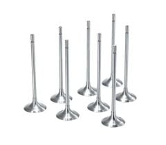 Egzoz Supap Takım (5.5mm) | Renault Clio 5, Captur 2 1.3 Tce H5H