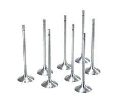 Egzoz Supap Takım (5.5mm) | Renault Taliant, Dacia Sandero 3 1.3 Tce H5H