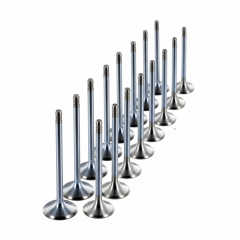 Egzoz Supap Takım (5.5mm) | Dacia Duster 2, Duster 3 1.3 Tce H5H