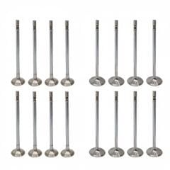 Egzoz Supap Takım (5.5mm) | Renault Megane 4, Talisman 1.3 Tce H5H