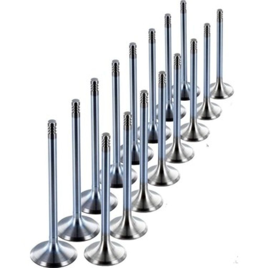 Subap Takımı | Renault Kangoo 1 - 1.4i 8V E7J