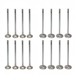 Egzoz Supap Takım (5.5mm) | Renault Clio 5, Captur 2 1.3 Tce H5H