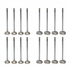 Egzoz Supap Takım (5.5mm) | Renault Taliant, Dacia Sandero 3 1.3 Tce H5H