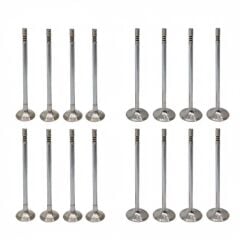 Egzoz Supap Takım (5.5mm) | Renault Kadjar, Koleos 2, Austral 1.3 Tce H5H