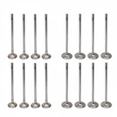 Egzoz Supap Takım (5.5mm) | Dacia Duster 2, Duster 3 1.3 Tce H5H