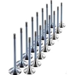 Subap Takımı | Renault R19 - 1.6i 8V K7M