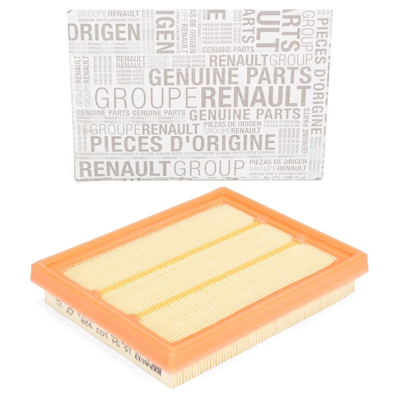 Hava Filtresi | Renault Austral, Rafale 1.2 E-Tech (2022-)