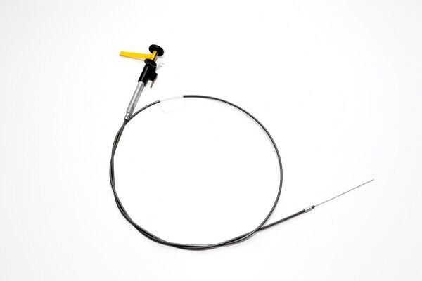 Jigle Teli | Renault R12